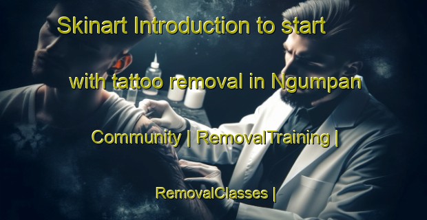 Skinart Introduction to start with tattoo removal in Ngumpan Community | RemovalTraining | RemovalClasses | SkinartTraining-Australia
